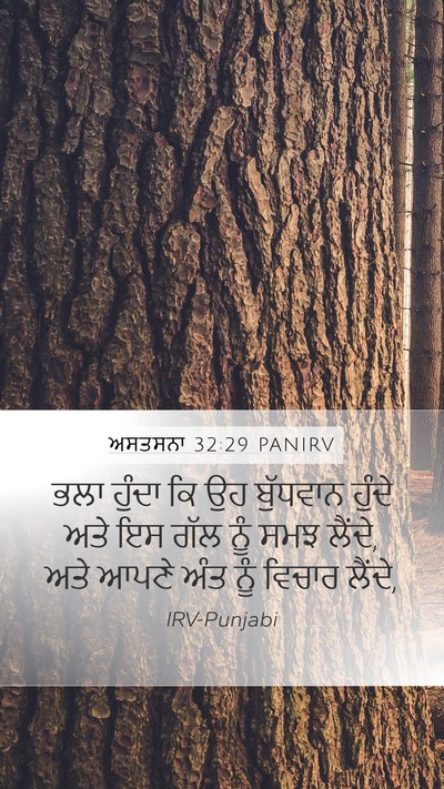 ਅਸਤਸਨਾ 32:29 PANIRV Bible Verse Image