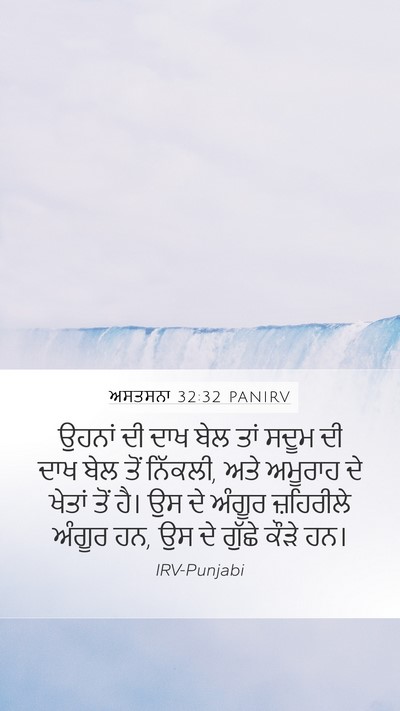 ਅਸਤਸਨਾ 32:32 PANIRV Bible Verse Image
