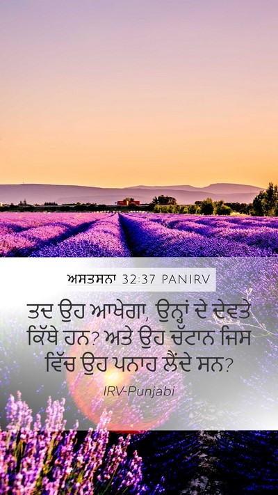 ਅਸਤਸਨਾ 32:37 PANIRV Bible Verse Image