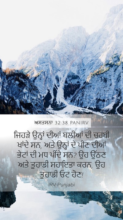 ਅਸਤਸਨਾ 32:38 PANIRV Bible Verse Image