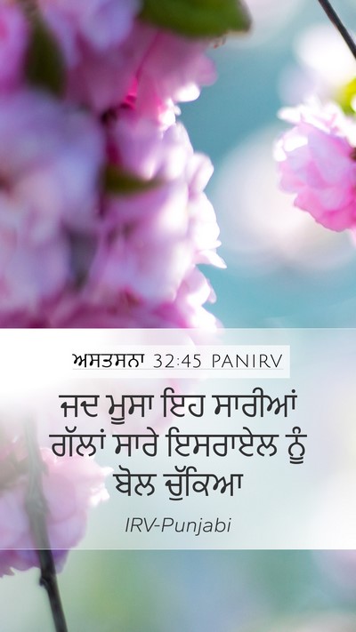 ਅਸਤਸਨਾ 32:45 PANIRV Mobile Phone Wallpaper - ਜਦ ਮੂਸਾ ਇਹ ਸਾਰੀਆਂ - Mobile Bible Verse Wallpaper