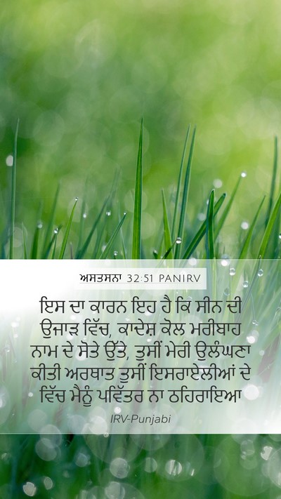 ਅਸਤਸਨਾ 32:51 PANIRV Bible Verse Image