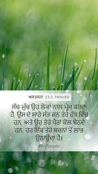 ਅਸਤਸਨਾ 33:3 PANIRV Bible Verse Image