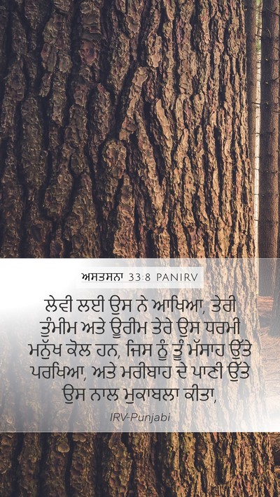 ਅਸਤਸਨਾ 33:8 PANIRV Bible Verse Image