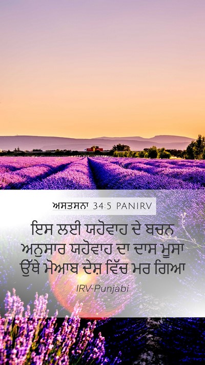 ਅਸਤਸਨਾ 34:5 PANIRV Bible Verse Image