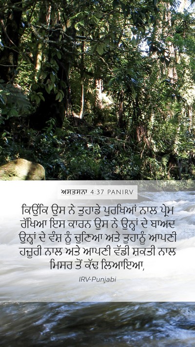 ਅਸਤਸਨਾ 4:37 PANIRV Bible Verse Image