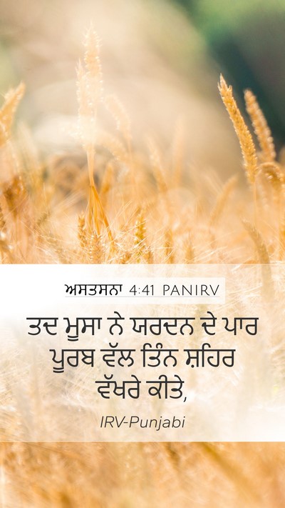 ਅਸਤਸਨਾ 4:41 PANIRV Bible Verse Image