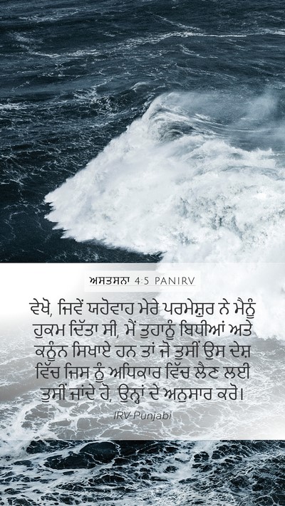 ਅਸਤਸਨਾ 4:5 PANIRV Bible Verse Image