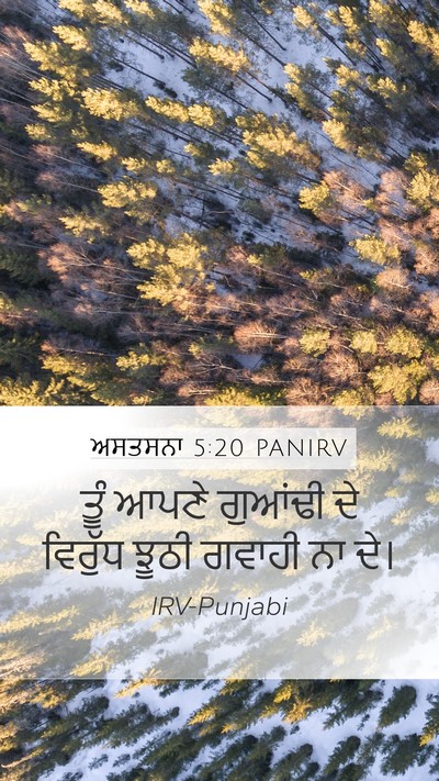 ਅਸਤਸਨਾ 5:20 PANIRV Mobile Phone Wallpaper - ਤੂੰ ਆਪਣੇ ਗੁਆਂਢੀ ਦੇ - Mobile Bible Verse Wallpaper