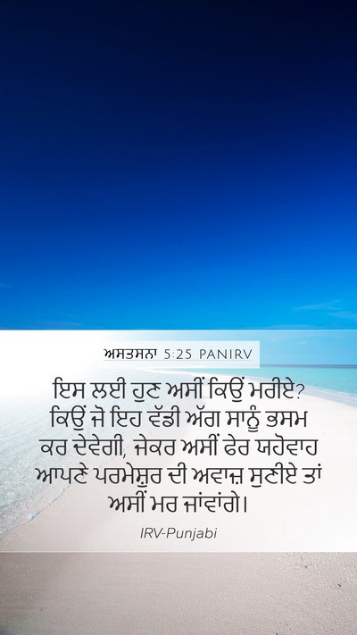 ਅਸਤਸਨਾ 5:25 PANIRV Bible Verse Image