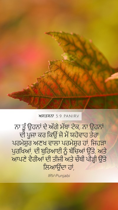 ਅਸਤਸਨਾ 5:9 PANIRV Bible Verse Image