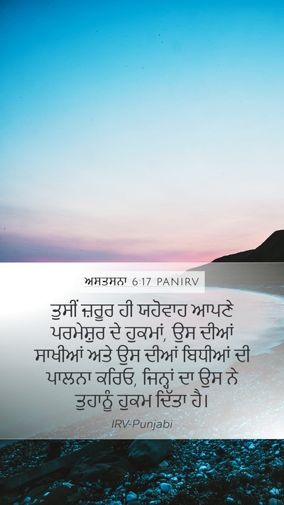 ਅਸਤਸਨਾ 6:17 PANIRV Bible Verse Image
