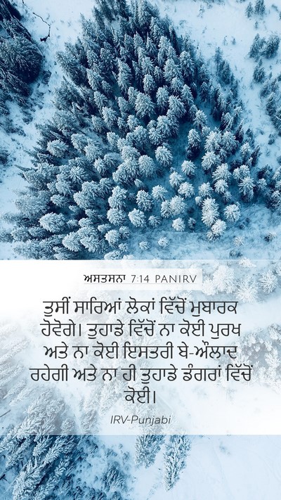 ਅਸਤਸਨਾ 7:14 PANIRV Bible Verse Image