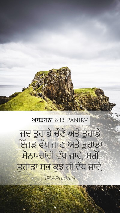ਅਸਤਸਨਾ 8:13 PANIRV Bible Verse Image
