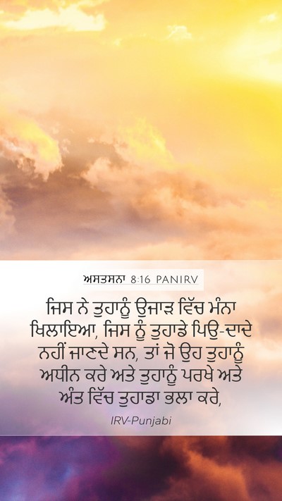 ਅਸਤਸਨਾ 8:16 PANIRV Bible Verse Image