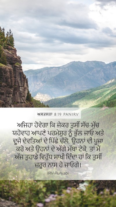 ਅਸਤਸਨਾ 8:19 PANIRV Bible Verse Image