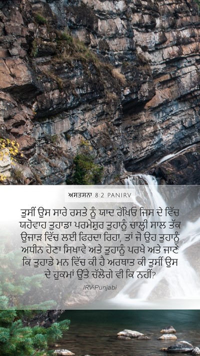ਅਸਤਸਨਾ 8:2 PANIRV Bible Verse Image