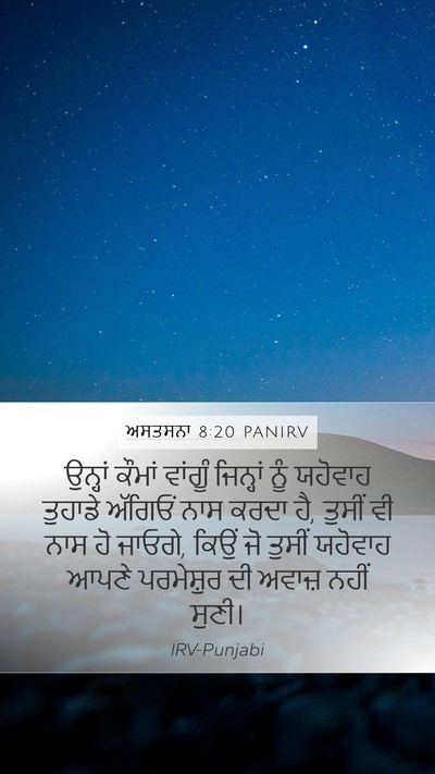 ਅਸਤਸਨਾ 8:20 PANIRV Bible Verse Image