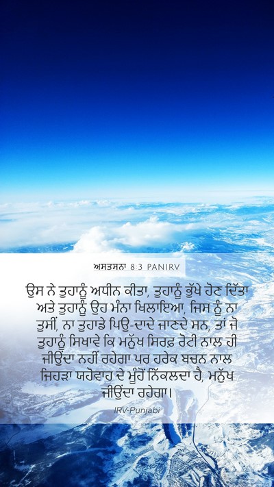 ਅਸਤਸਨਾ 8:3 PANIRV Bible Verse Image