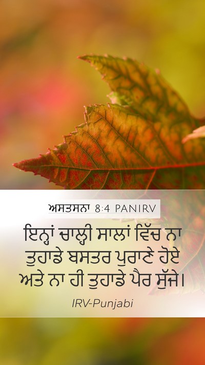 ਅਸਤਸਨਾ 8:4 PANIRV Bible Verse Image