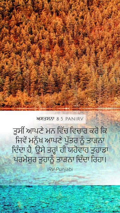 ਅਸਤਸਨਾ 8:5 PANIRV Bible Verse Image