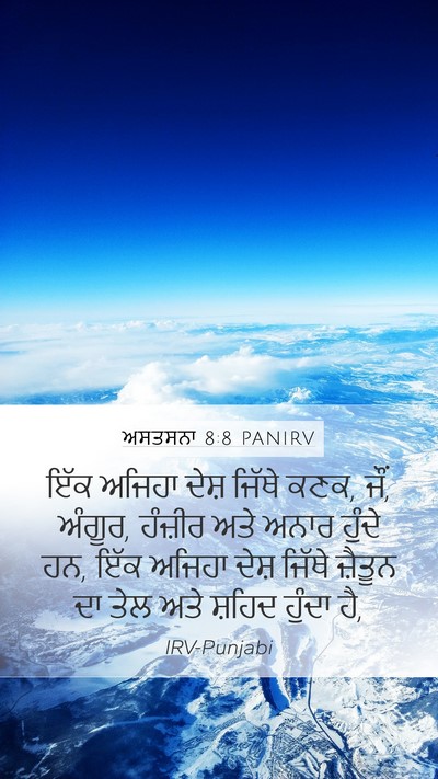 ਅਸਤਸਨਾ 8:8 PANIRV Mobile Phone Wallpaper - ਇੱਕ ਅਜਿਹਾ ਦੇਸ਼ - Mobile Bible Verse Wallpaper