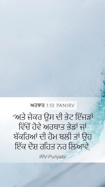 ਅਹਬਾਰ 1:10 PANIRV Bible Verse Image