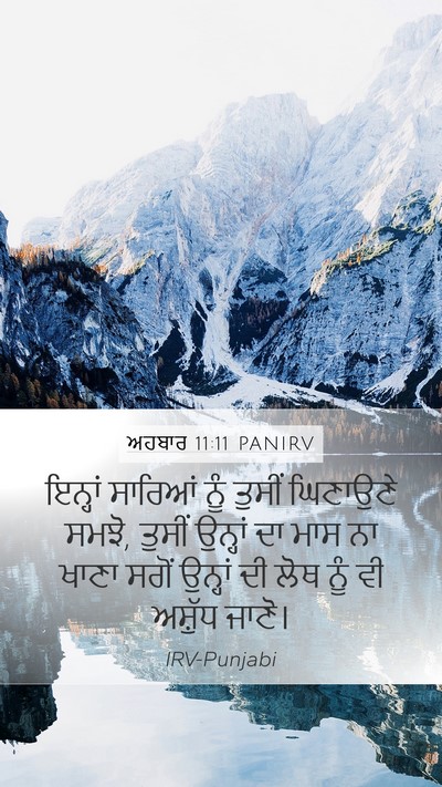 ਅਹਬਾਰ 11:11 PANIRV Bible Verse Image