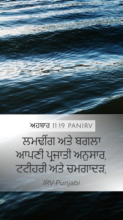 ਅਹਬਾਰ 11:19 PANIRV Mobile Phone Wallpaper - ਲਮਢੀਂਗ ਅਤੇ ਬਗਲਾ - Mobile Bible Verse Wallpaper