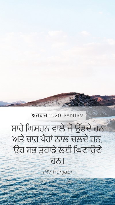 ਅਹਬਾਰ 11:20 PANIRV Bible Verse Image
