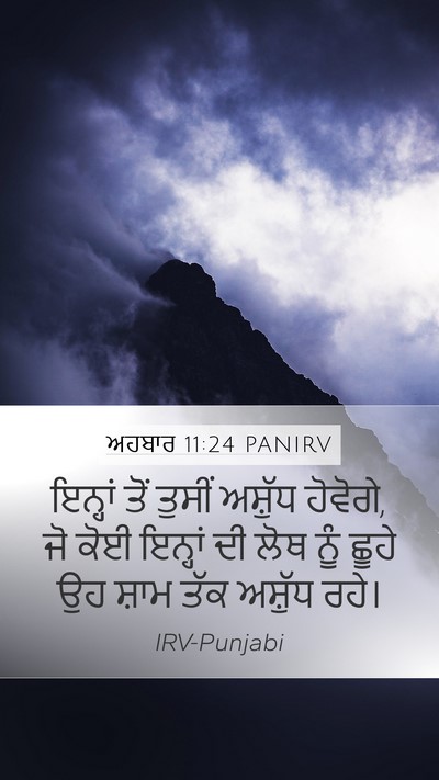 ਅਹਬਾਰ 11:24 PANIRV Bible Verse Image