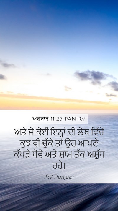 ਅਹਬਾਰ 11:25 PANIRV Bible Verse Image