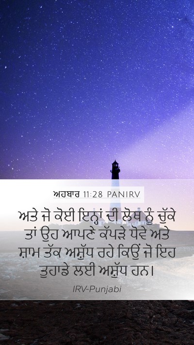 ਅਹਬਾਰ 11:28 PANIRV Bible Verse Image
