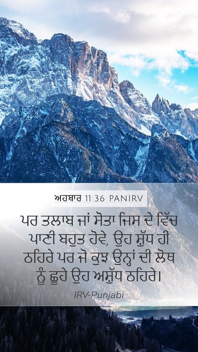 ਅਹਬਾਰ 11:36 PANIRV Mobile Phone Wallpaper - ਪਰ ਤਲਾਬ ਜਾਂ ਸੋਤਾ - Mobile Bible Verse Wallpaper