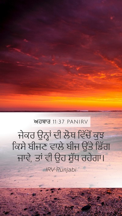 ਅਹਬਾਰ 11:37 PANIRV Mobile Phone Wallpaper - ਜੇਕਰ ਉਨ੍ਹਾਂ ਦੀ ਲੋਥ - Mobile Bible Verse Wallpaper