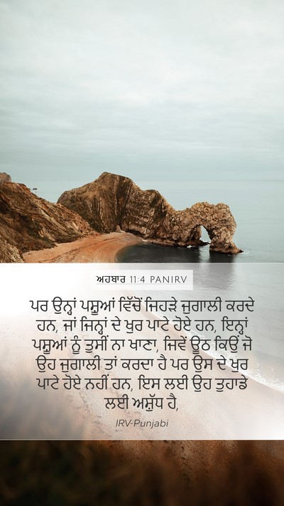 ਅਹਬਾਰ 11:4 PANIRV Mobile Phone Wallpaper - ਪਰ ਉਨ੍ਹਾਂ ਪਸ਼ੂਆਂ - Mobile Bible Verse Wallpaper