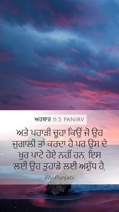 ਅਹਬਾਰ 11:5 PANIRV Bible Verse Image