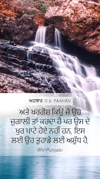 ਅਹਬਾਰ 11:6 PANIRV Mobile Phone Wallpaper - ਅਤੇ ਖਰਗੋਸ਼ ਕਿਉਂ ਜੋ - Mobile Bible Verse Wallpaper
