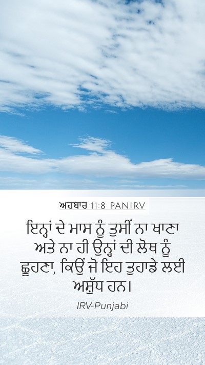 ਅਹਬਾਰ 11:8 PANIRV Bible Verse Image