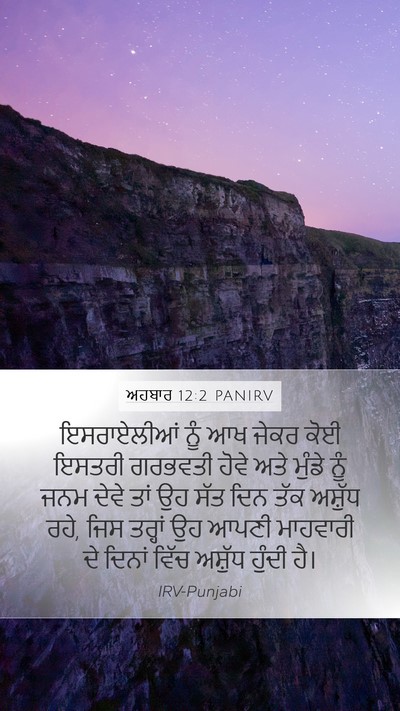 ਅਹਬਾਰ 12:2 PANIRV Bible Verse Image