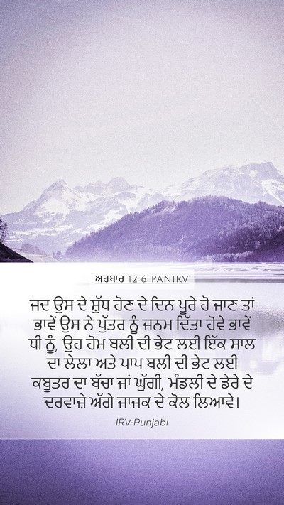 ਅਹਬਾਰ 12:6 PANIRV Bible Verse Image