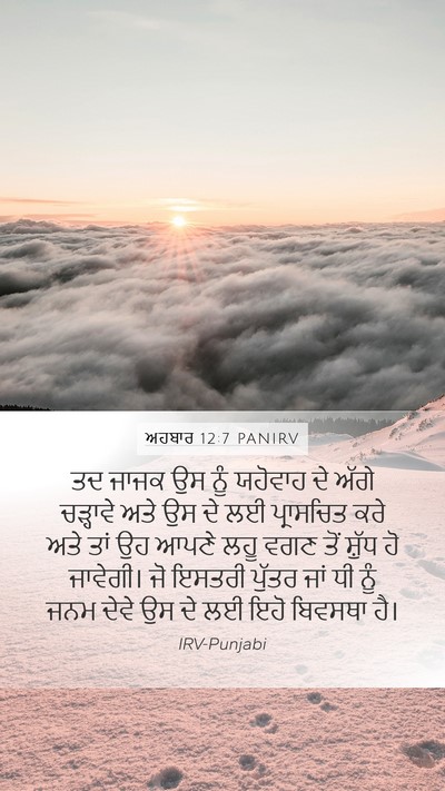 ਅਹਬਾਰ 12:7 PANIRV Mobile Phone Wallpaper - ਤਦ ਜਾਜਕ ਉਸ ਨੂੰ - Mobile Bible Verse Wallpaper