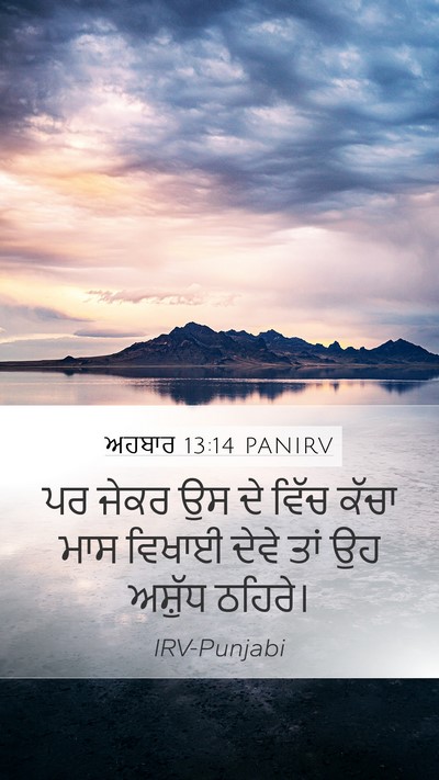 ਅਹਬਾਰ 13:14 PANIRV Bible Verse Image