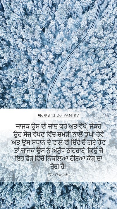 ਅਹਬਾਰ 13:20 PANIRV Mobile Phone Wallpaper - ਜਾਜਕ ਉਸ ਦੀ ਜਾਂਚ ਕਰੇ - Mobile Bible Verse Wallpaper