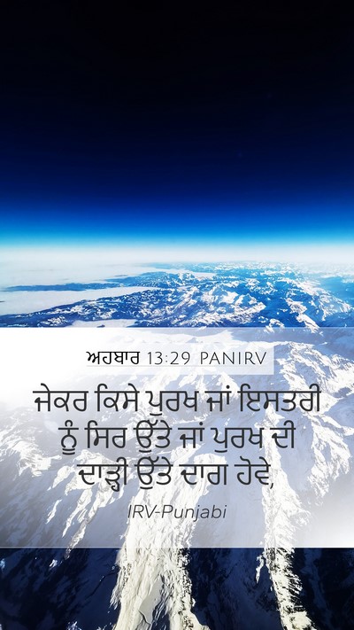 ਅਹਬਾਰ 13:29 PANIRV Bible Verse Image