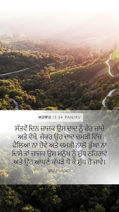 ਅਹਬਾਰ 13:34 PANIRV Bible Verse Image