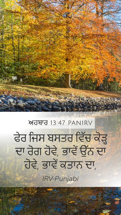 ਅਹਬਾਰ 13:47 PANIRV Mobile Phone Wallpaper - ਫੇਰ ਜਿਸ ਬਸਤਰ ਵਿੱਚ - Mobile Bible Verse Wallpaper