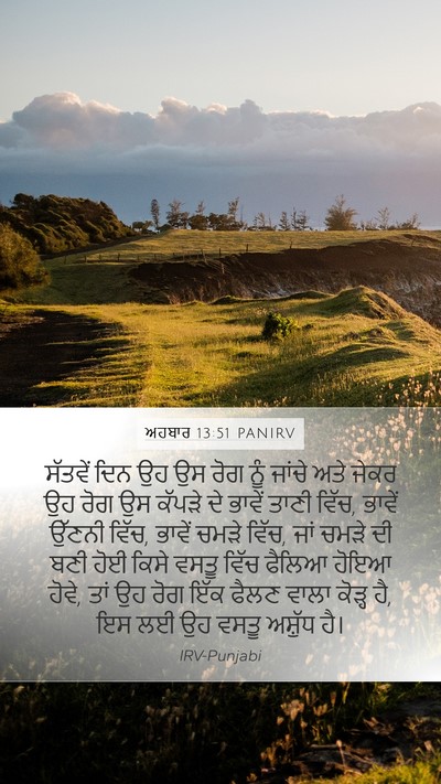 ਅਹਬਾਰ 13:51 PANIRV Bible Verse Image