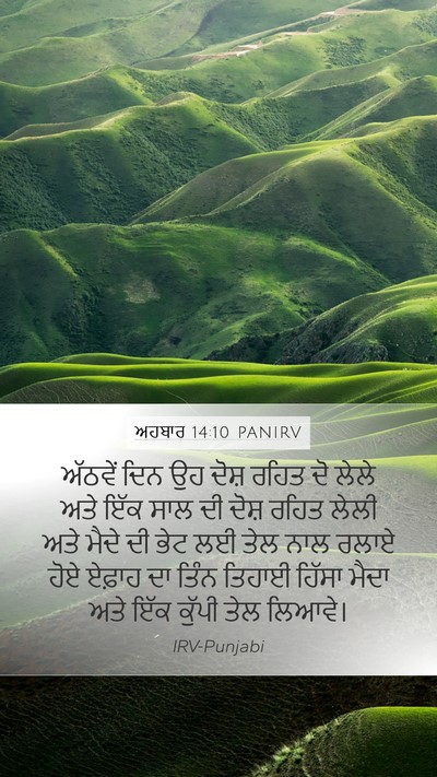 ਅਹਬਾਰ 14:10 PANIRV Bible Verse Image