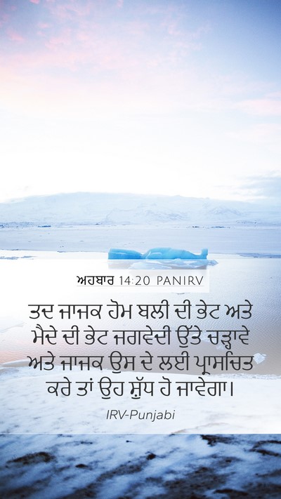 ਅਹਬਾਰ 14:20 PANIRV Bible Verse Image